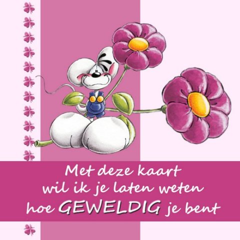 E-card Knuffelkaarten