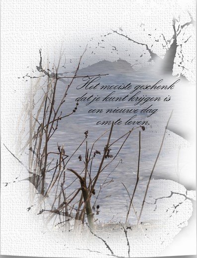 E-card Leuke spreuken