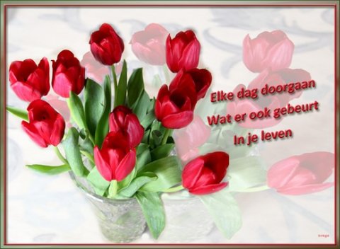 E-card Leuke spreuken