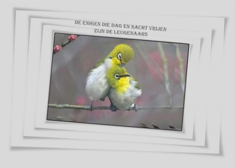 E-card Leuke spreuken