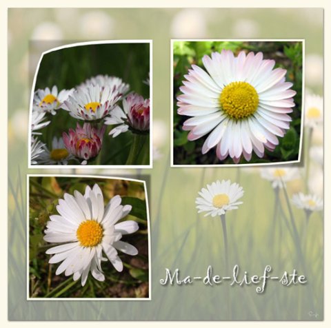 E-card Moederdag
