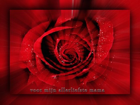 E-card Moederdag