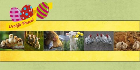 E-card Pasen