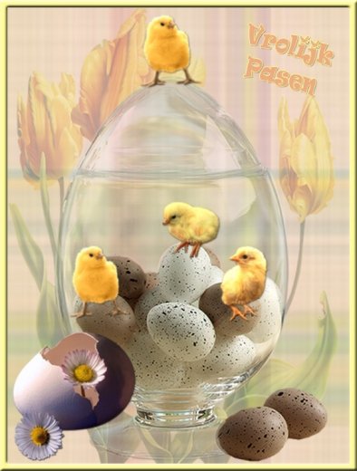 E-card Pasen