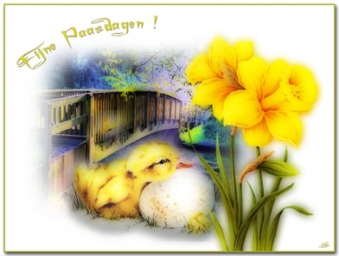 E-card Pasen