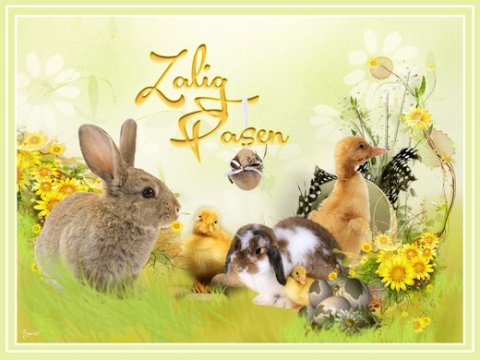 E-card Pasen