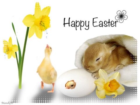 E-card Pasen