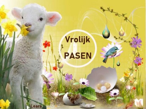 E-card Pasen