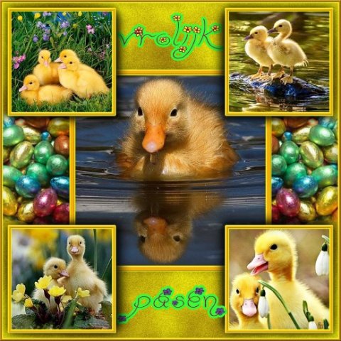 E-card Pasen