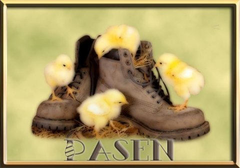 E-card Pasen
