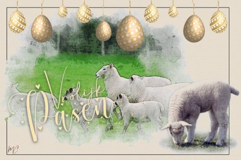 E-card Pasen