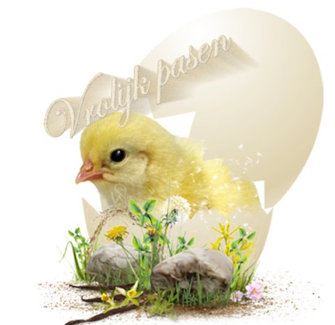 E-card Pasen
