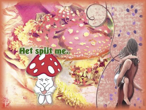 E-card Sorry