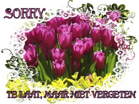 E-card Sorry