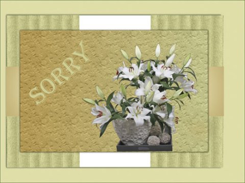 E-card Sorry