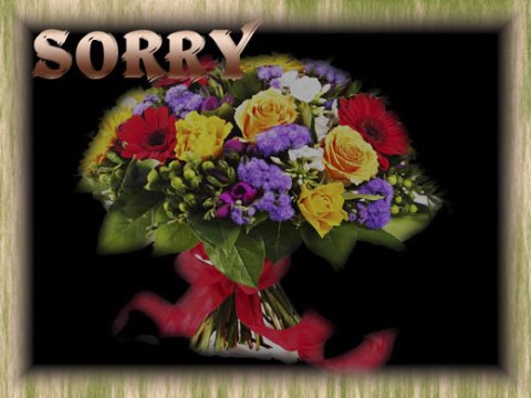 E-card Sorry