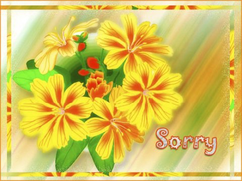E-card Sorry