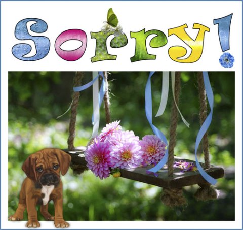 E-card Sorry