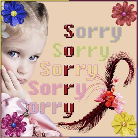 E-card Sorry