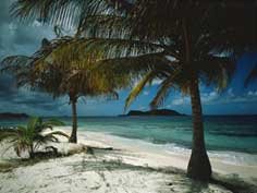 E-card Vakantie