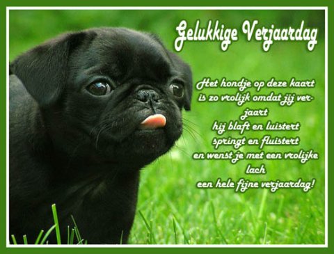 E-card Verjaardag
