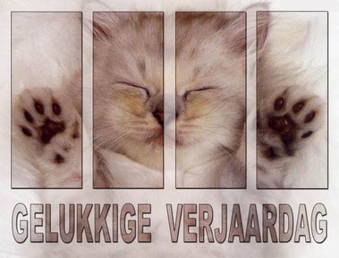 E-card Verjaardag