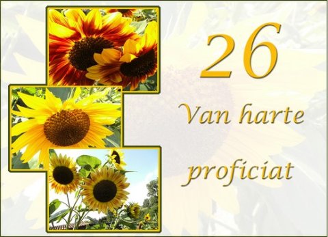 E-card Verjaardag 20-29 jaar