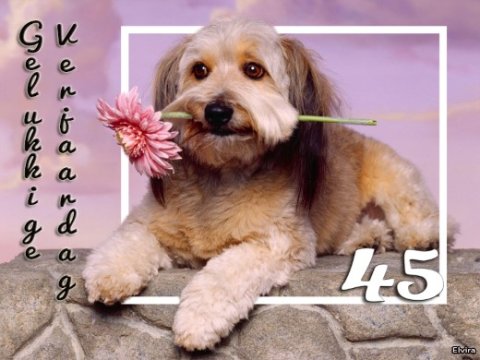 E-card Verjaardag 40-49 jaar