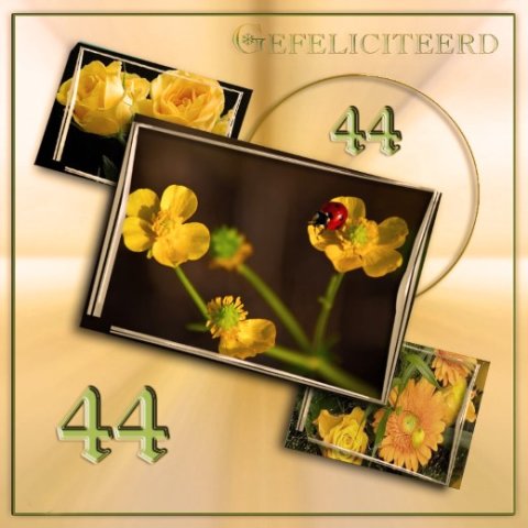 E-card Verjaardag 40-49 jaar