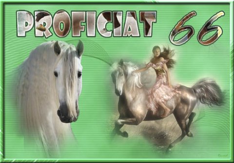 E-card Verjaardag 60-69 jaar