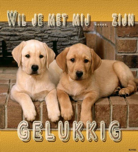 E-card Wil je met me...