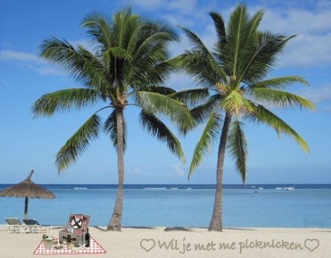 E-card Wil je met me...