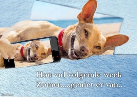 E-card Zomer