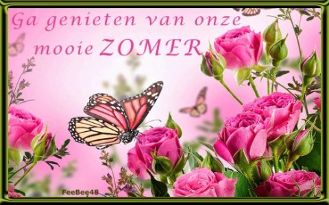 E-card Zomer