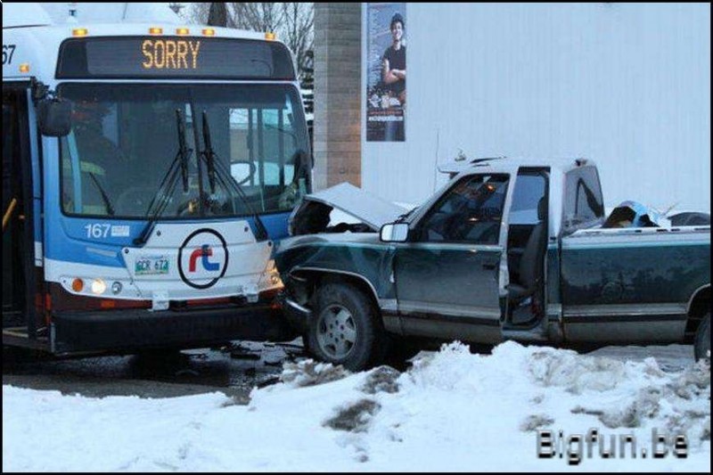 Friendly_Bus%20(Oopsss%20[1024x768]wtmk (2).jpg