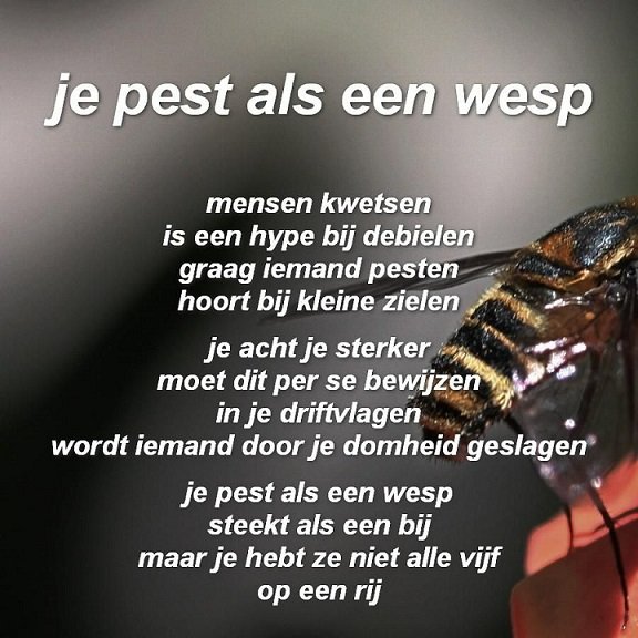 Pester.jpg