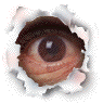 Pipo.gif