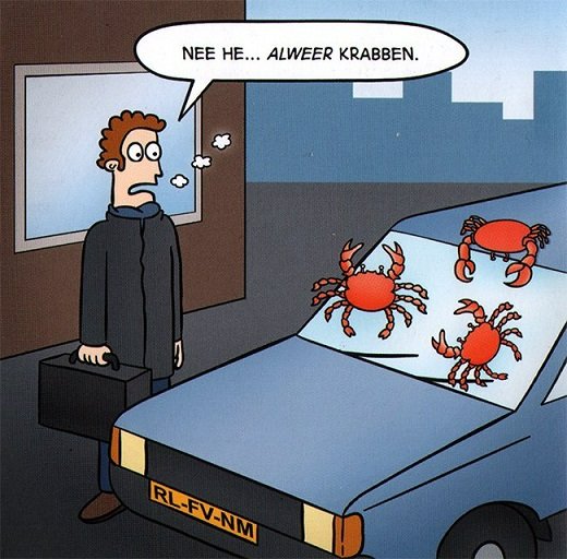 Krabben.jpg