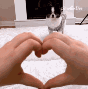 Love.gif