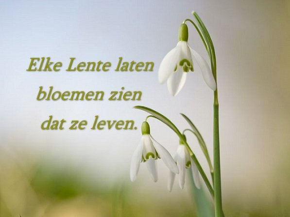 Lente.jpg