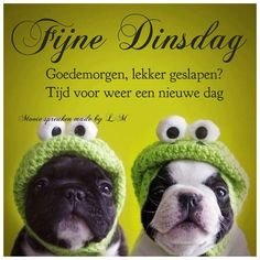 20-04-22 dinsdag.jpg