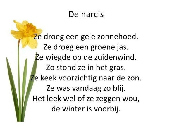 De narcis.jpg