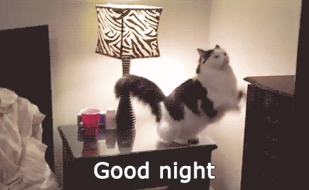 Welterusten.gif