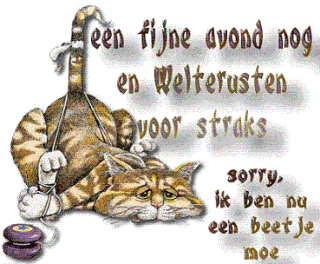 20-04-28 goedenavond148.gif