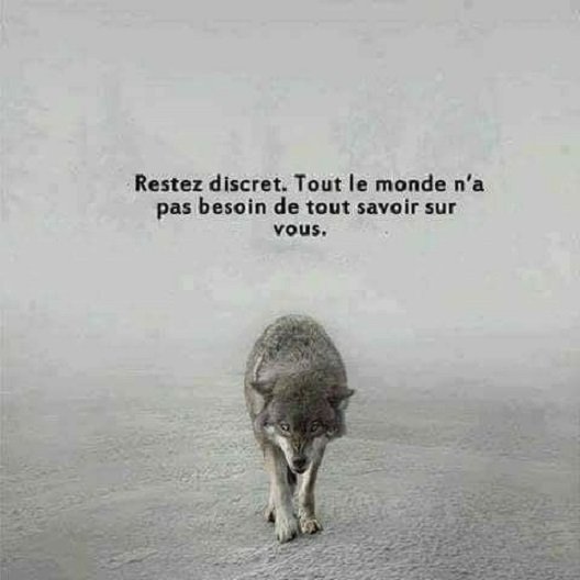 Blijf bescheiden.jpg