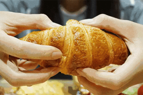 giphy (3).gif
