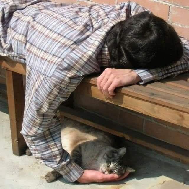 Samen.jpg