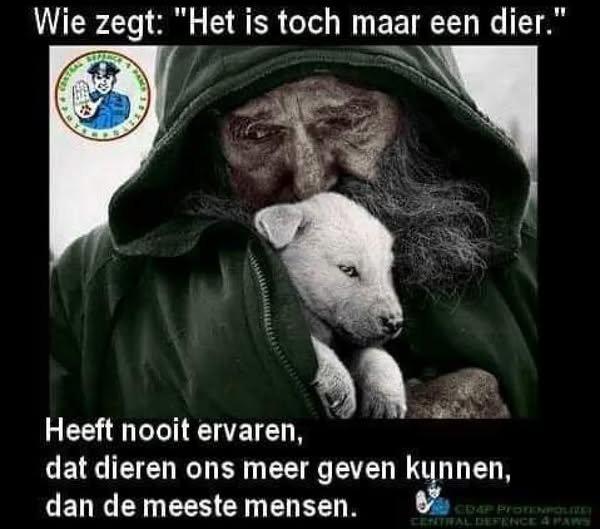 Juist.jpg