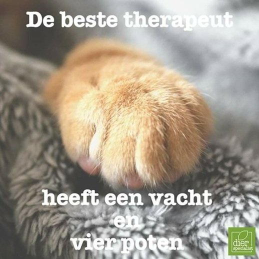 Juist.jpg