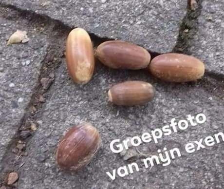 Humor.jpg